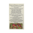 Prayer of Francis of Assisi Holy Card