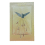 Holy Spirit Novena